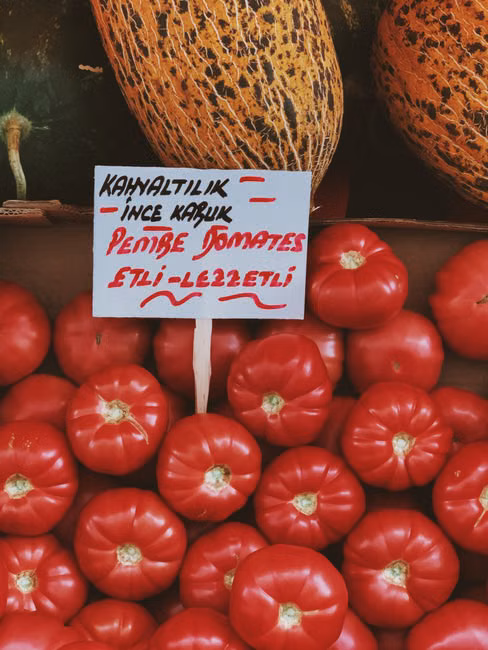 Biocampo - Comercio e Servicos Agronomicos
