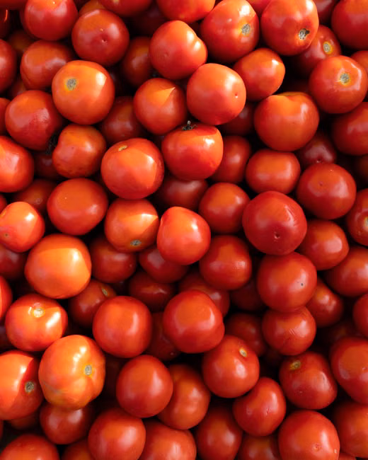 Tomate Italiano (kg)